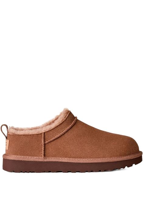 mules classic micro donna quercia UGG | 1173891RYK