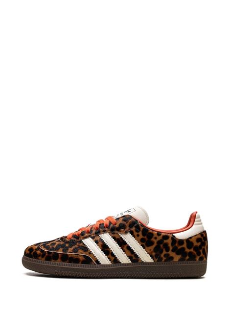 sneakers samba og donna marroni ADIDAS | JI2734BLACK