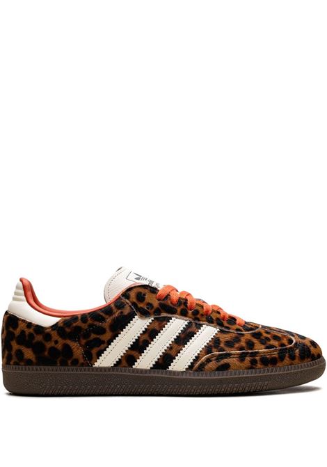sneakers samba og donna marroni ADIDAS | JI2734BLACK
