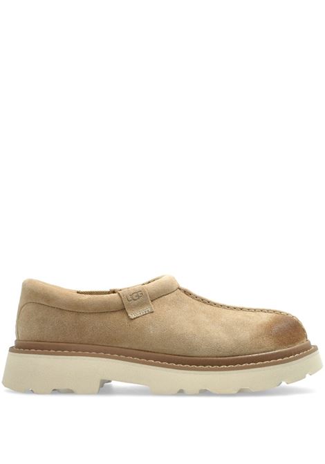 mules tasman mustard man seed UGG | 1166913MDSD