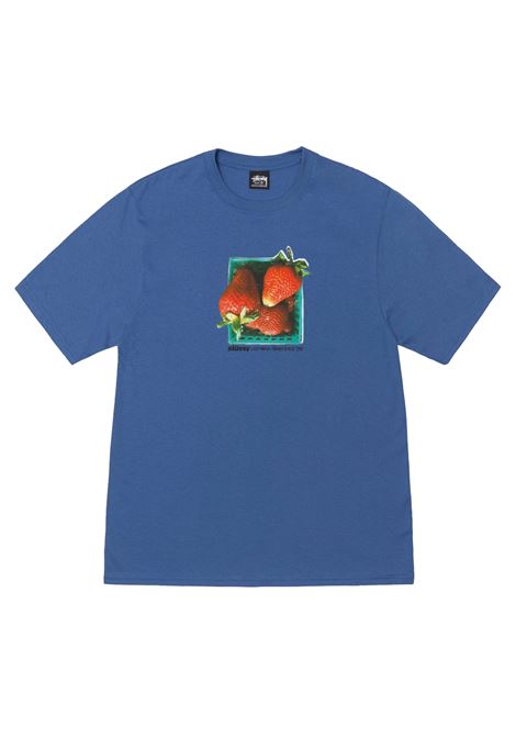 berries tee man blue STÜSSY | 19051080801