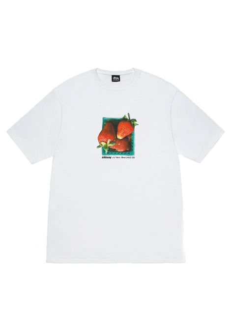 berries tee man white STÜSSY | 19051081201
