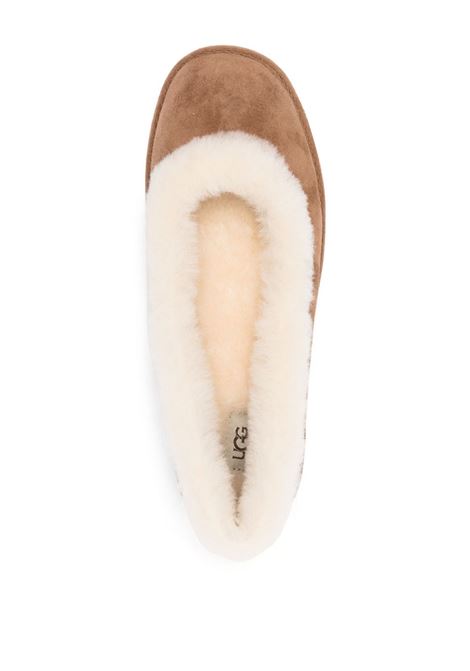 zora ballet flat woman chestnut UGG | 1178111CHE