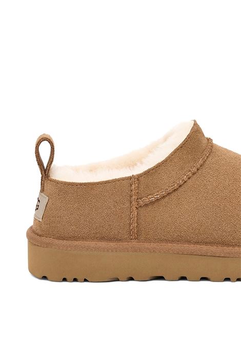 mules classic micro uomo castagna UGG | 1180190CHE